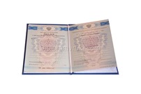 Диплом техникума о среднем образовании 2011 - 2013 года